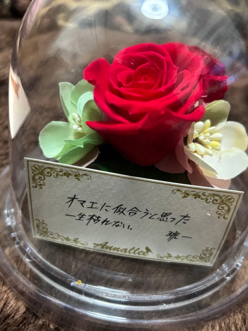 ときめきメモリアルGirl’sSide3rdStoryプリザーブドフラワー　琥一