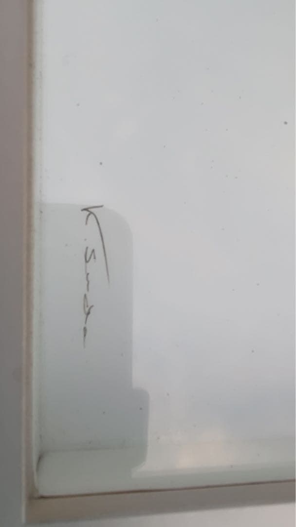 ドキソコパ・セラフィナ蝶の標本