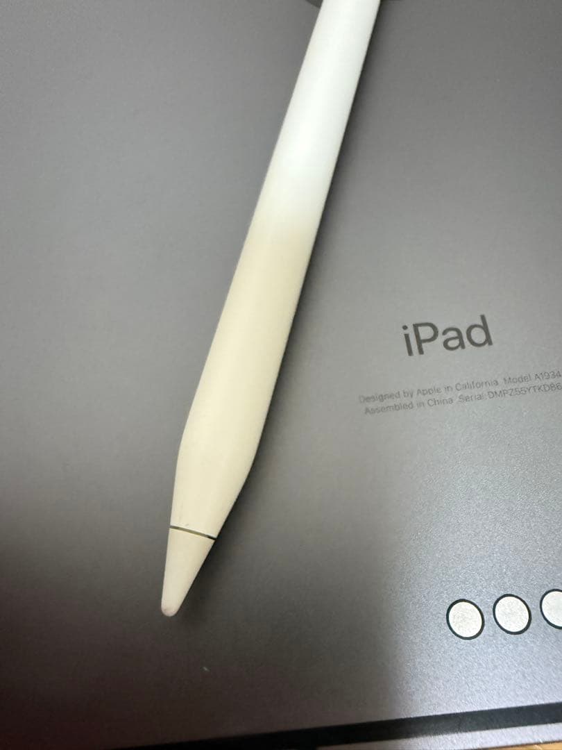 iPad Pro 11 第1世代 256GB Wi-Fi + Cellular