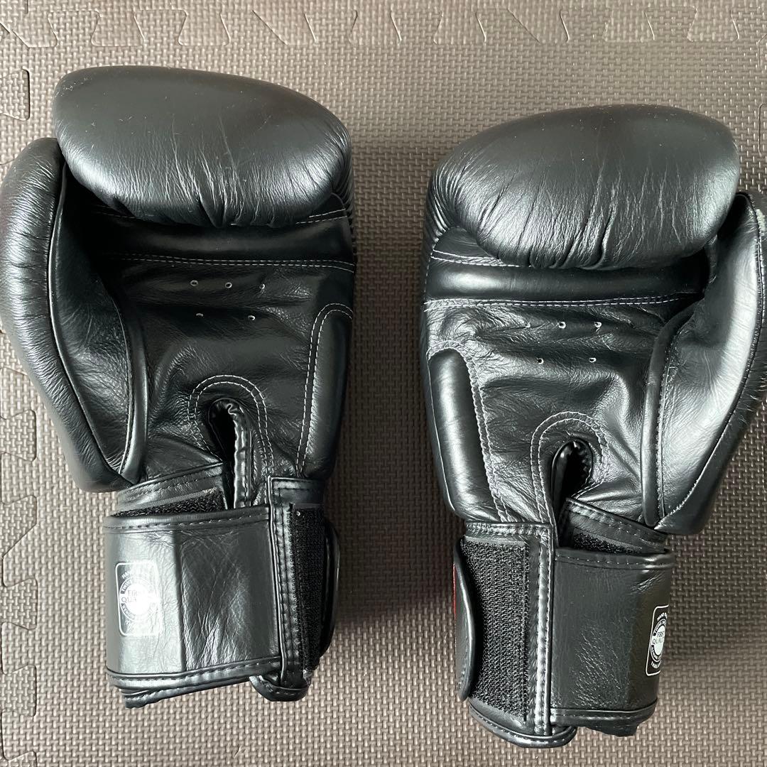 TWINS ボクシンググローブ 16oz