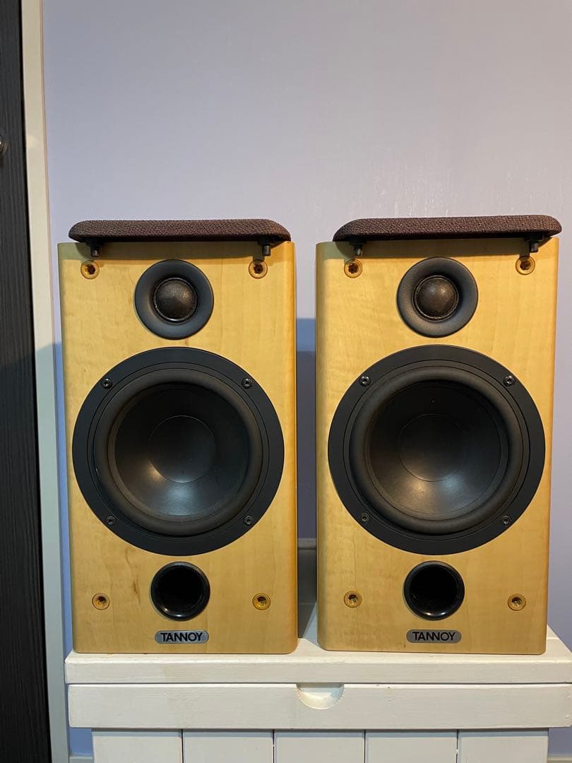 イギリス　TANNOY Fusion 1 ブックシェルフスピーカー シリアル連番