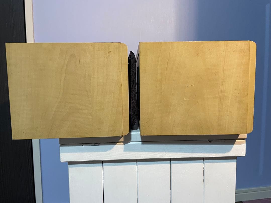 イギリス　TANNOY Fusion 1 ブックシェルフスピーカー シリアル連番