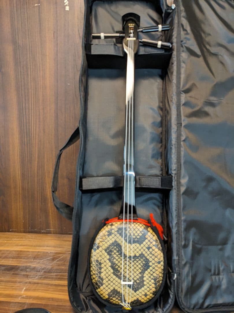 さ*な様 D1071　三線　リュックサック型　ケース　テキスト　教科書　弦　その