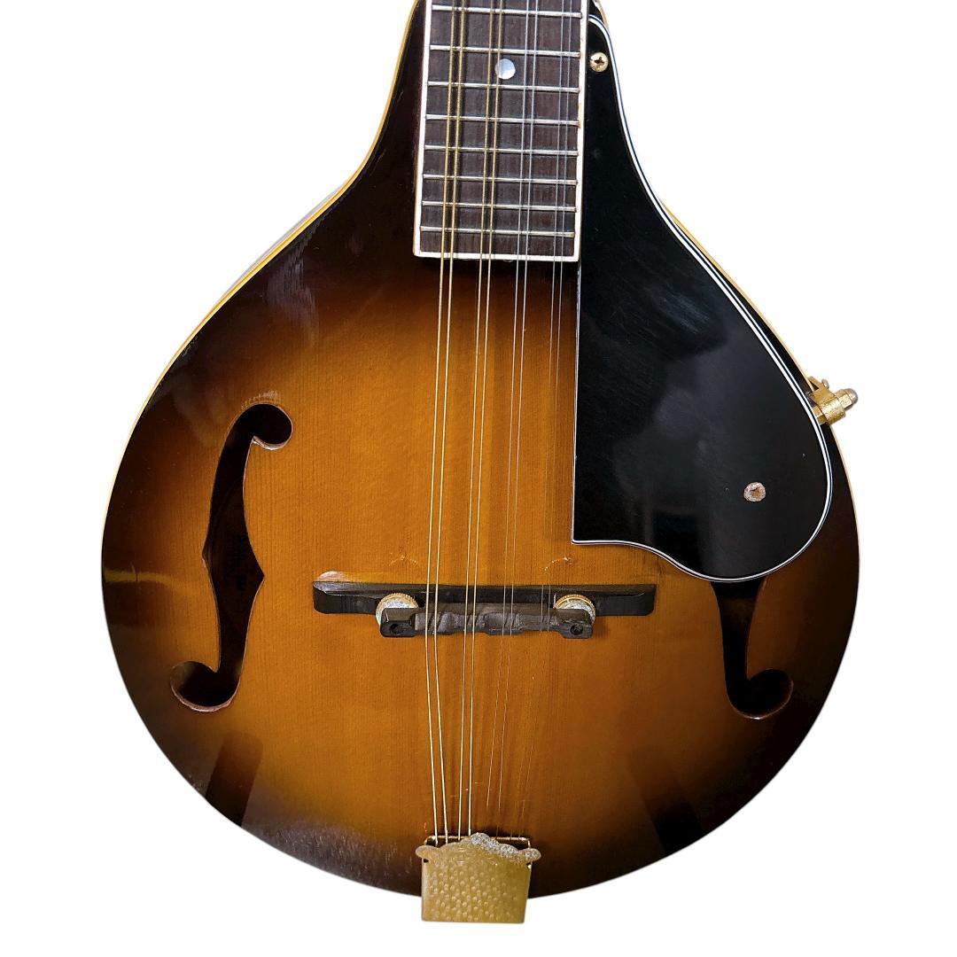 希少1970年代 Bluebell(ブルーベル)フラットマンドリン/ Hケース付