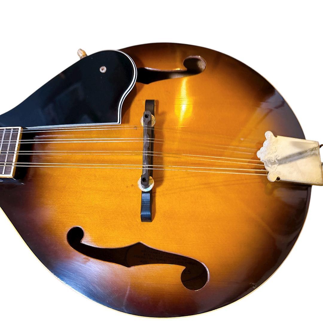 希少1970年代 Bluebell(ブルーベル)フラットマンドリン/ Hケース付