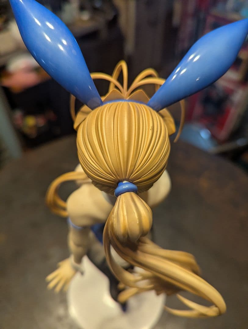 フリーイング ベルダンディー バニー