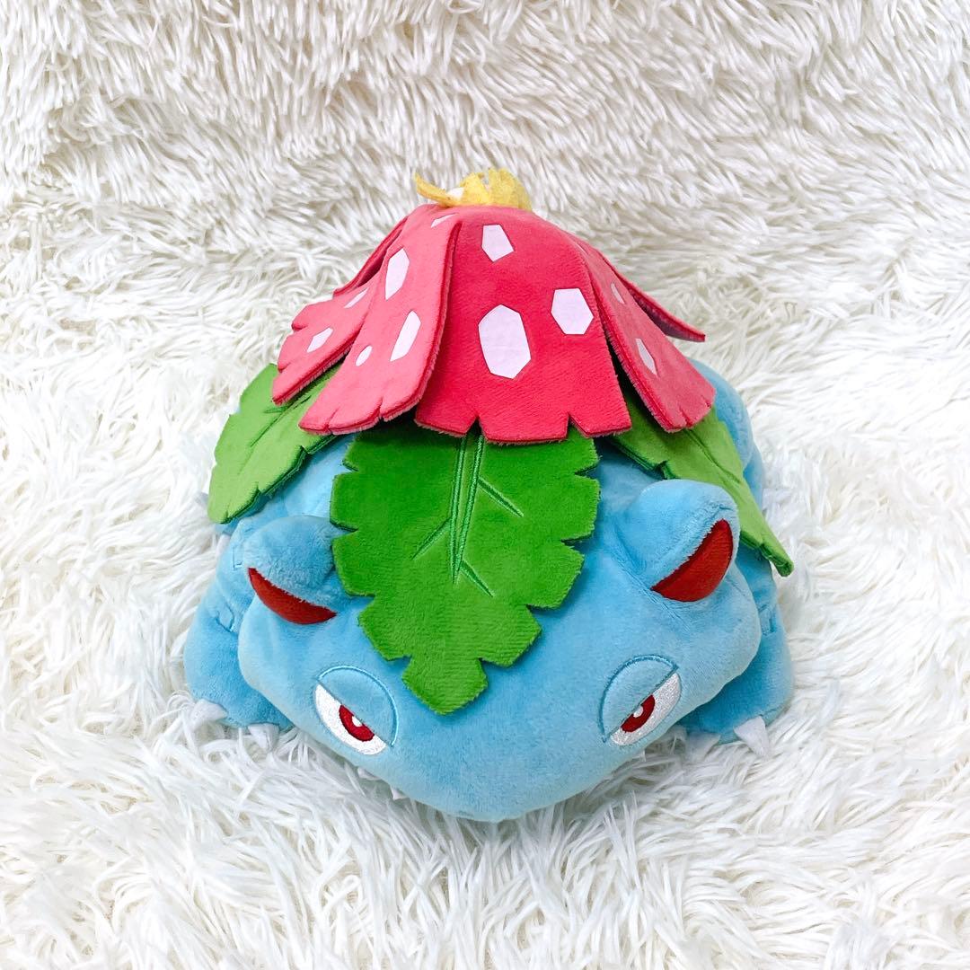 ポケモンセンター ぬいぐるみ コライドン セット まとめ売り 一部タグ付き