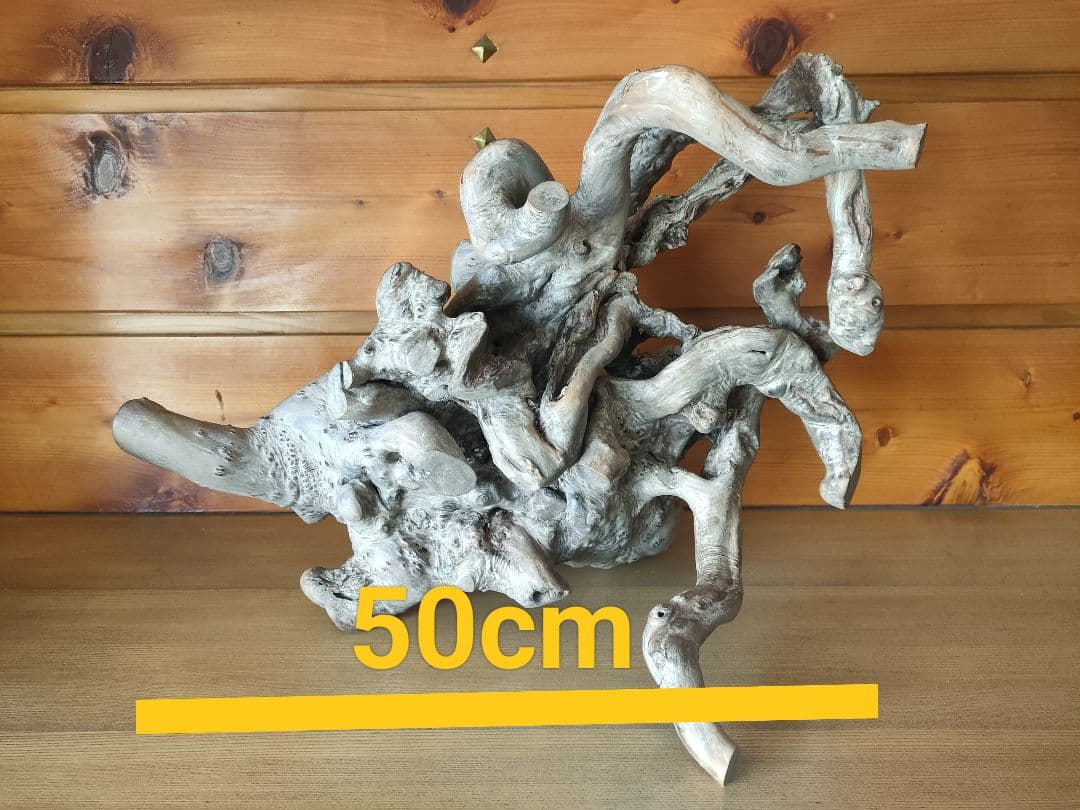 年末セール★大型流木