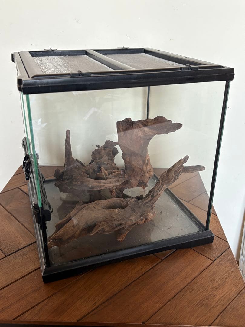 GEX グラステラリウム 3030 流木レイアウトセット　エキゾテラ ケージ