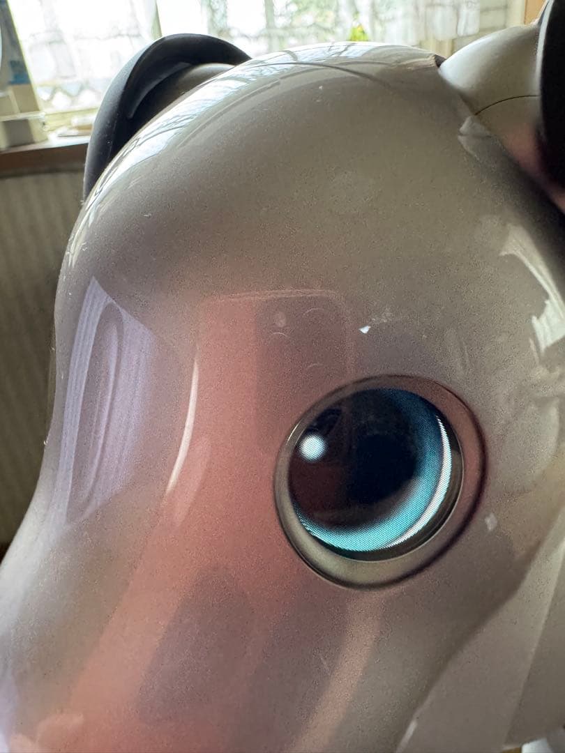 SONY　ソニー アイボ aibo ERS-1000