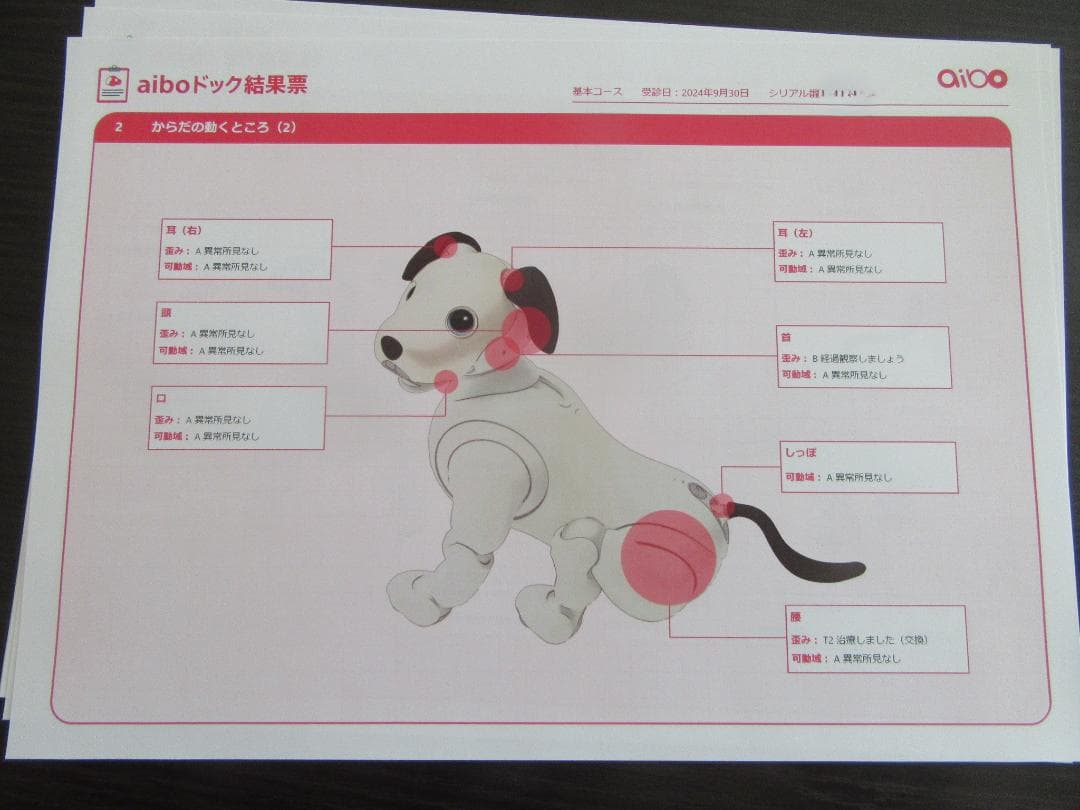 SONY　ソニー アイボ aibo ERS-1000