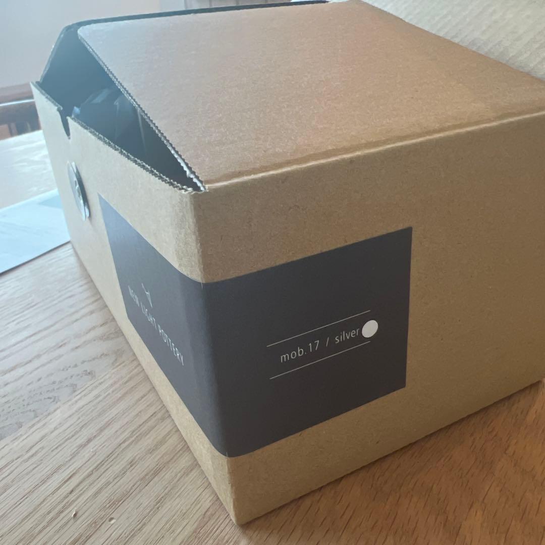 NEW LIGHT POTTERY mob17 silver E17壁掛け照明