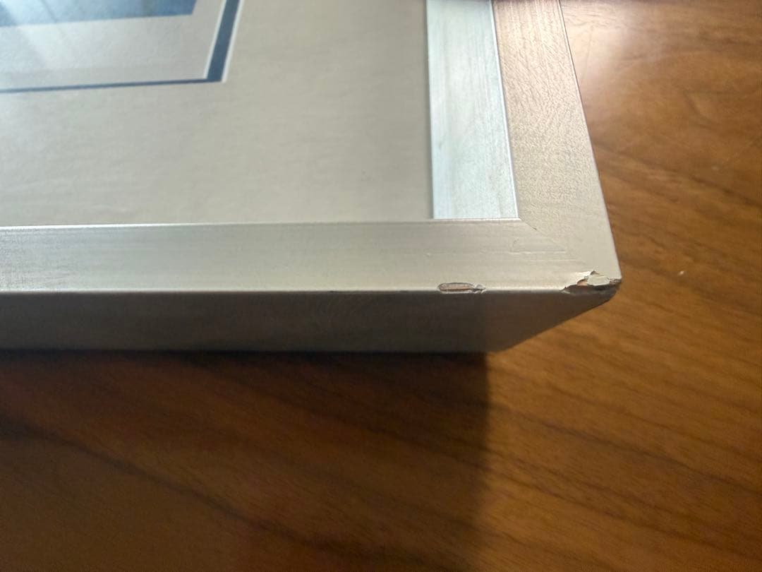 RonnieWood「Stray Cat Blues」81/290直筆サイン入り