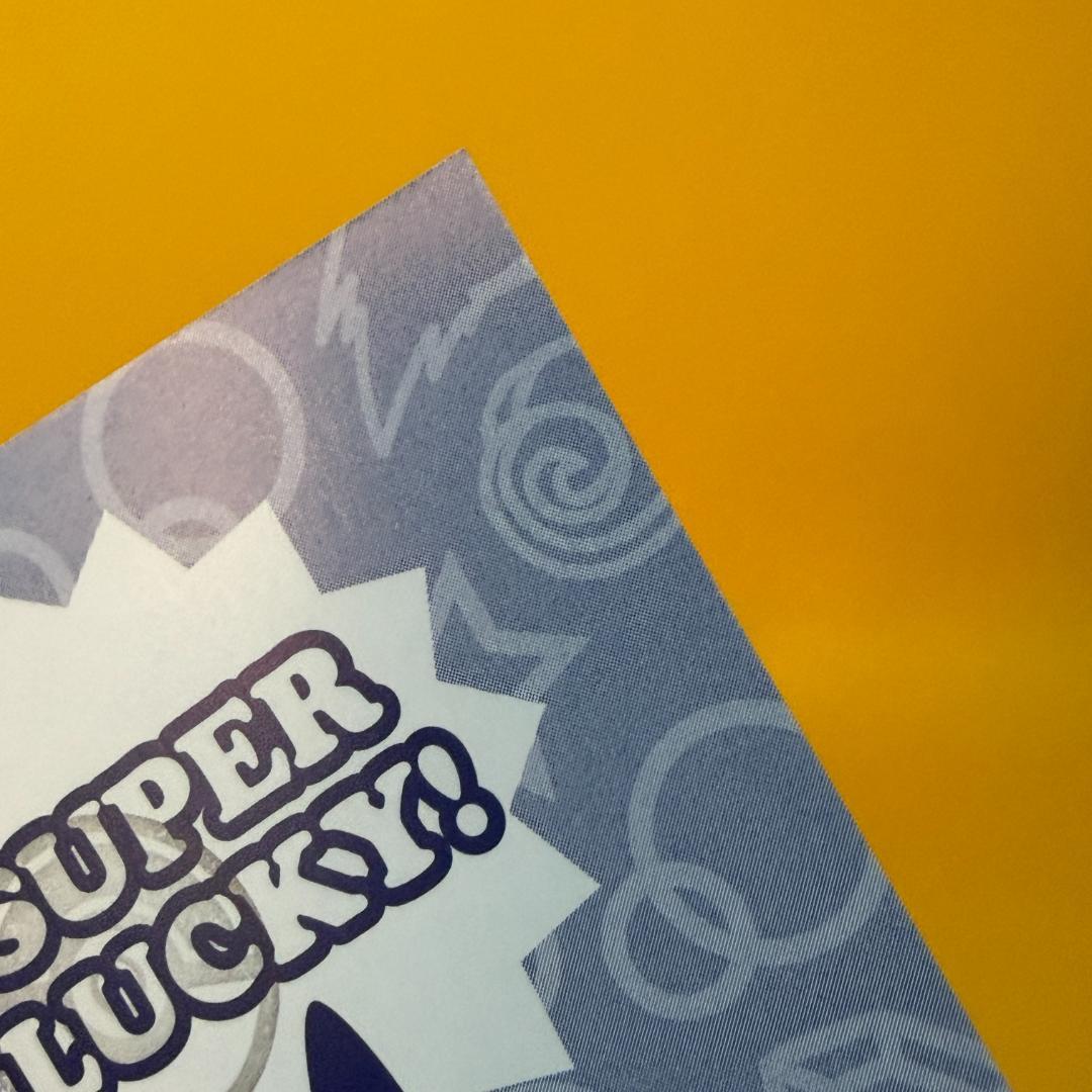 激レア ポンチョ ピカチュウ 名刺 カード メガレックウザ 限定 非売品