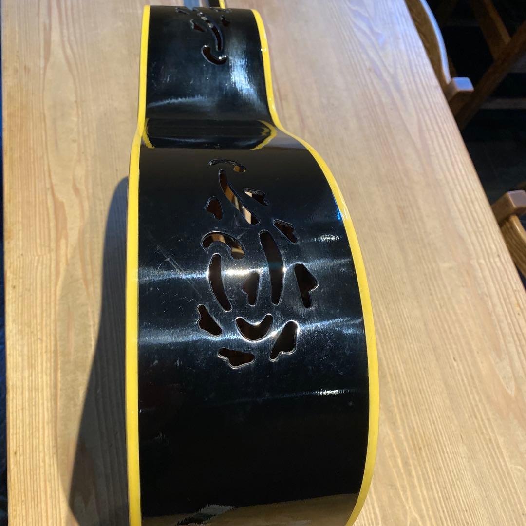 アコースティックギター12弦 SPT オマケ付き