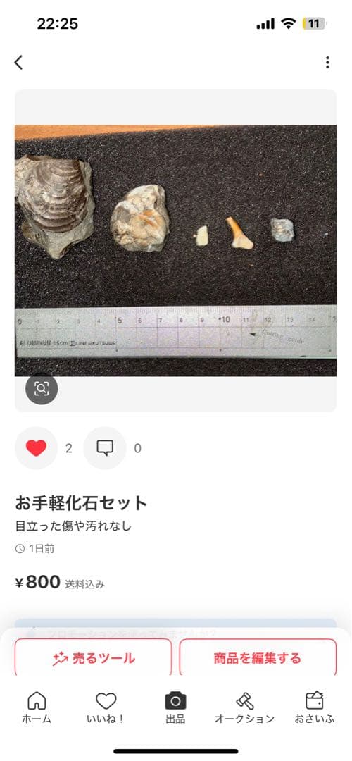 ひでさん　化石セット