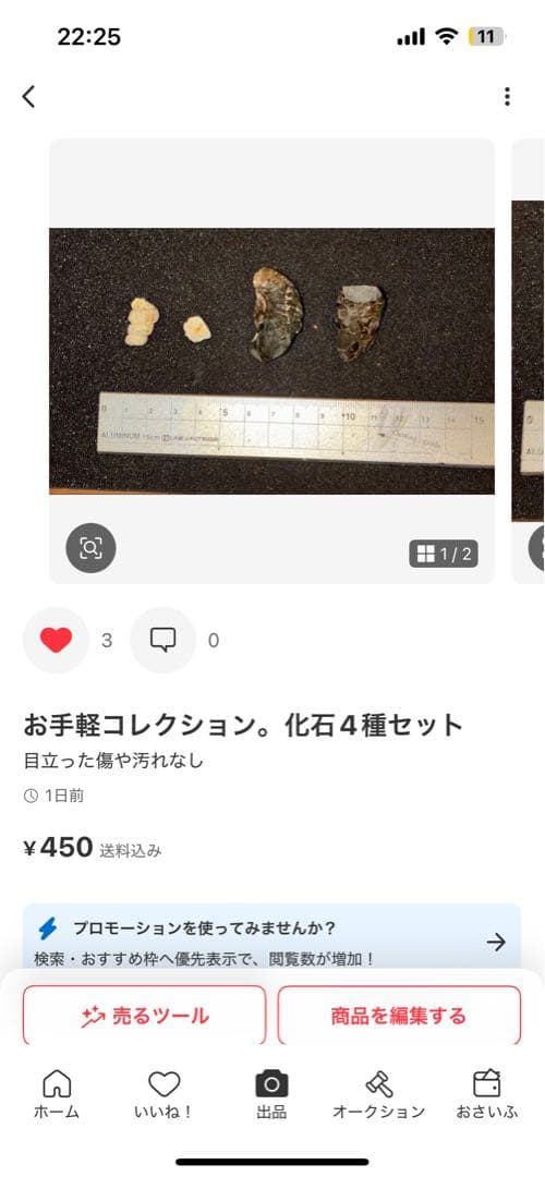 ひでさん　化石セット