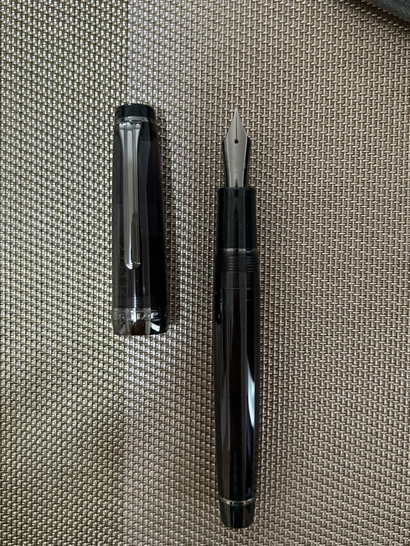 <新品未使用> セーラー　プロギア　イオン限定　ブラックパンダ　万年筆