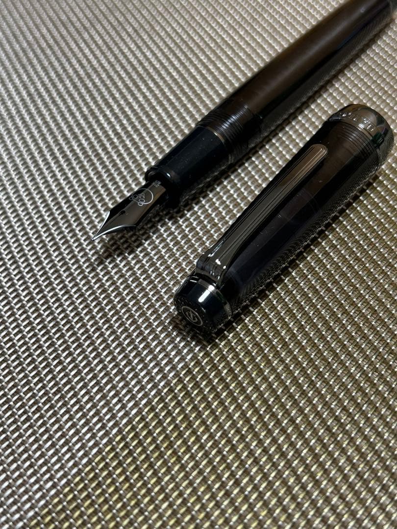 <新品未使用> セーラー　プロギア　イオン限定　ブラックパンダ　万年筆