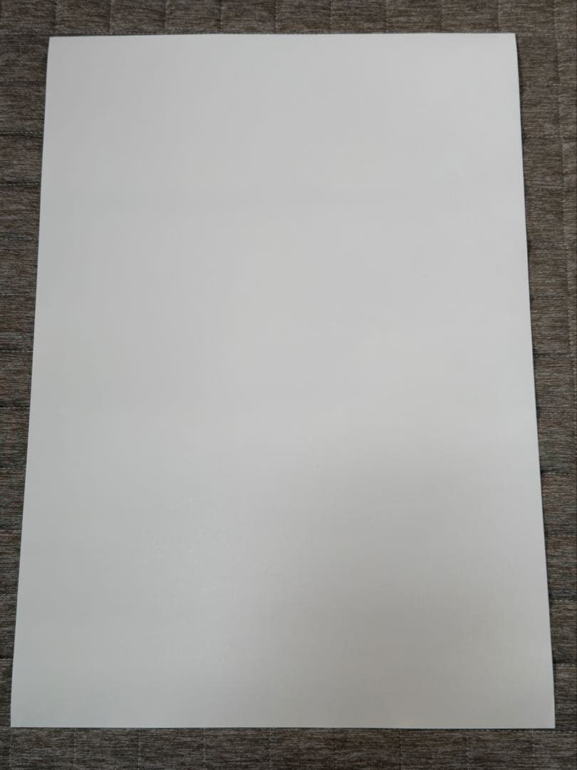 Hi-STANDARD ツアー 新潟 限定 ポスター