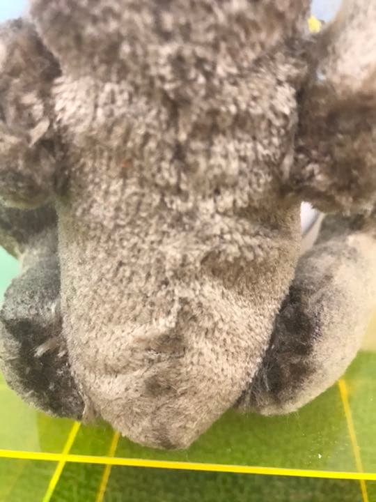 希少な年代物のアンティークテディベア　steiff社