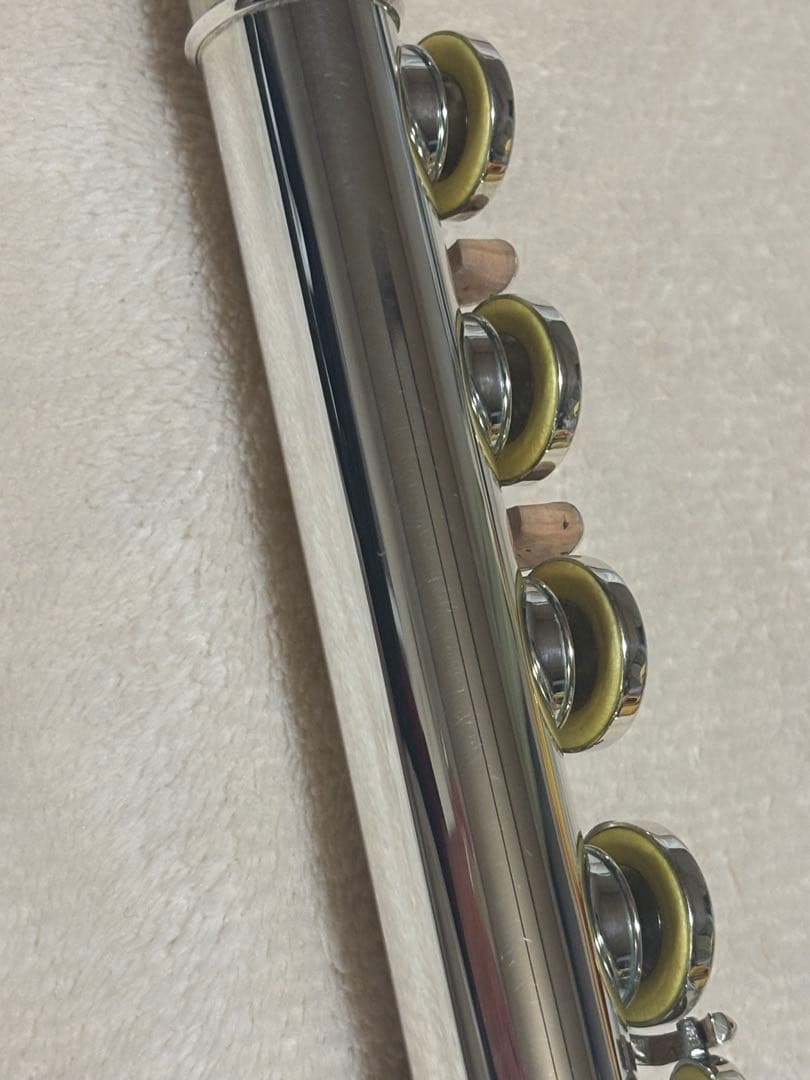 イーストマン　フルート EFL210SE