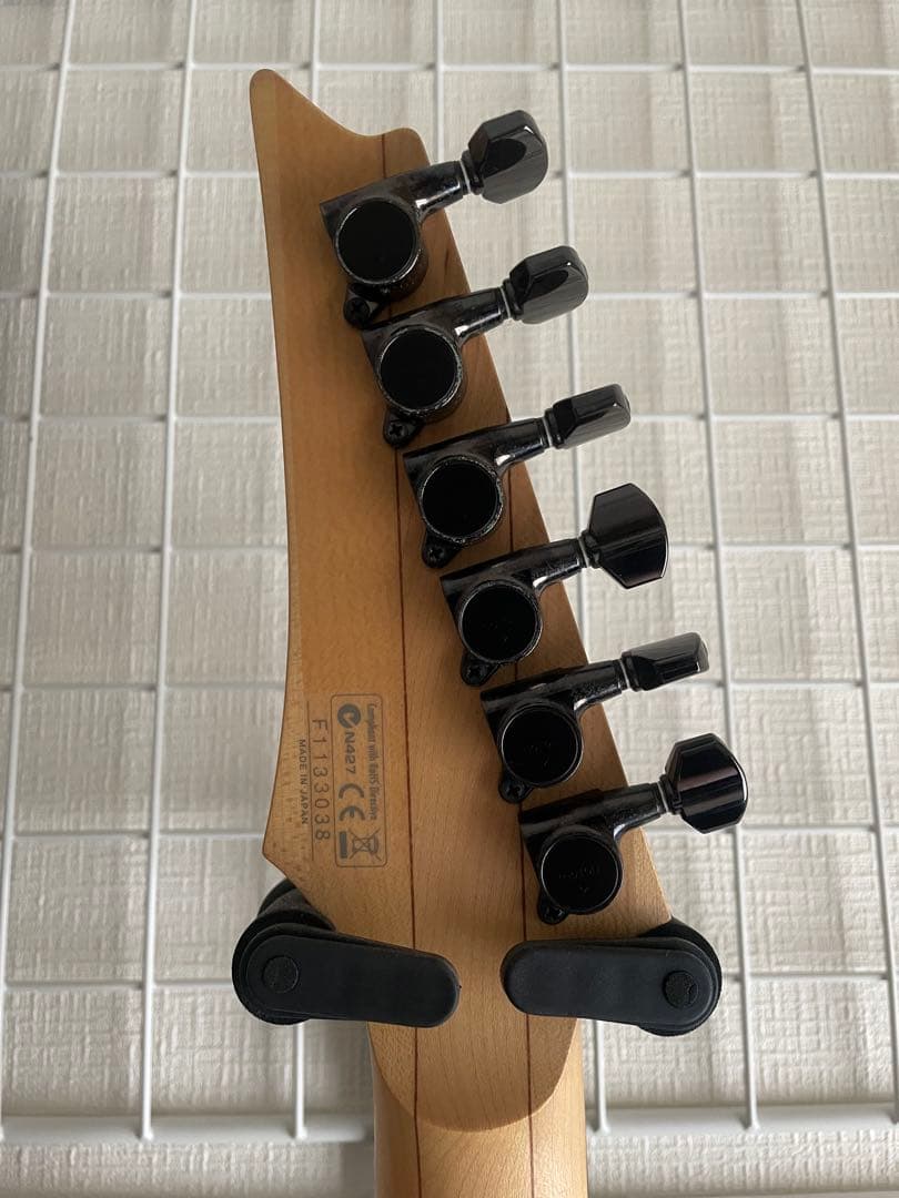 アイバニーズ　RG 2560ZEX-ABT