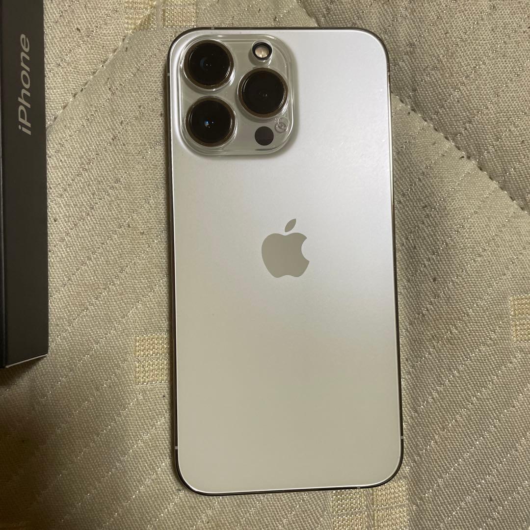 iPhone13pro 256GB SIMフリー　ライト不良