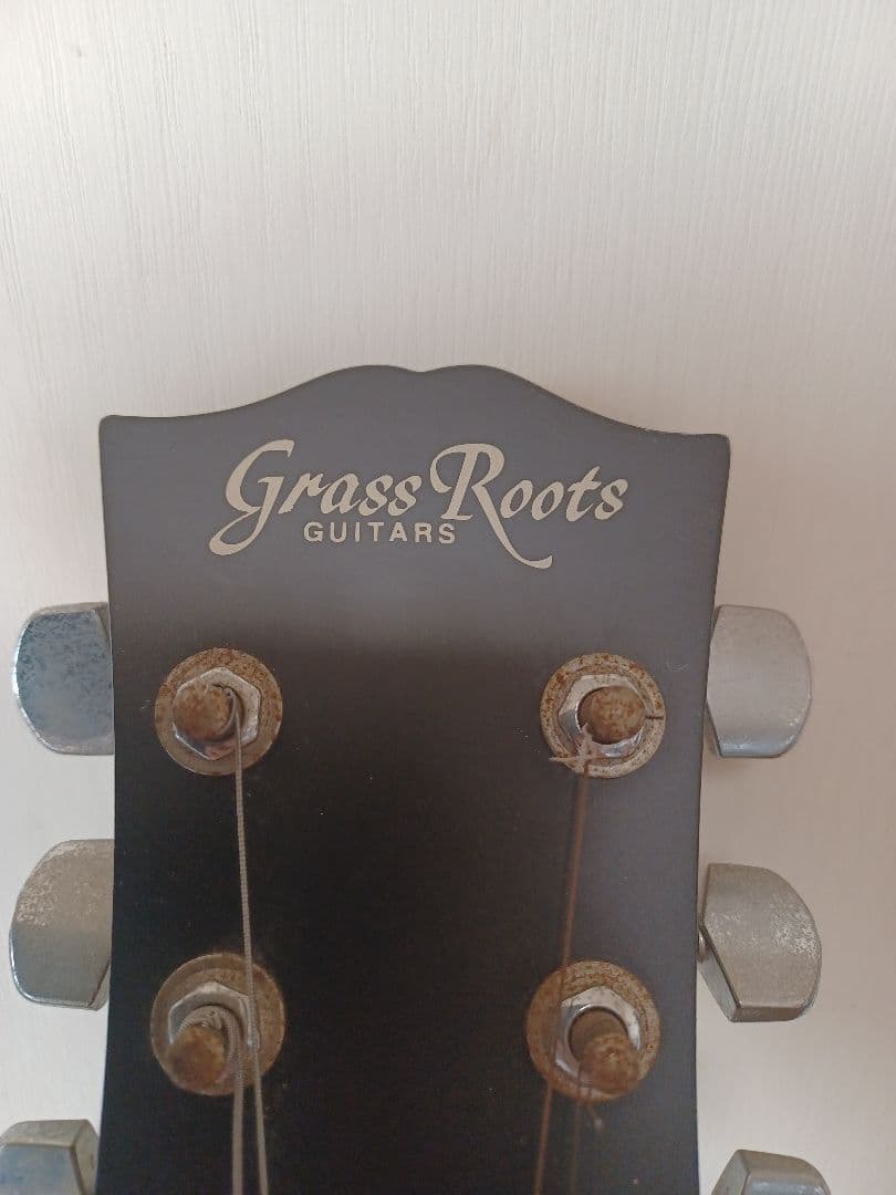 ギター GrassRoots by ESP G-I-LP48 Inoran