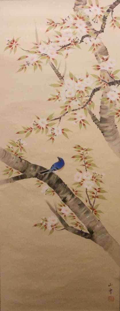 掛け軸 岡野山雪 『 桜花遊鳥 』 絹本 希少 軸装 茶道具 掛軸 です。