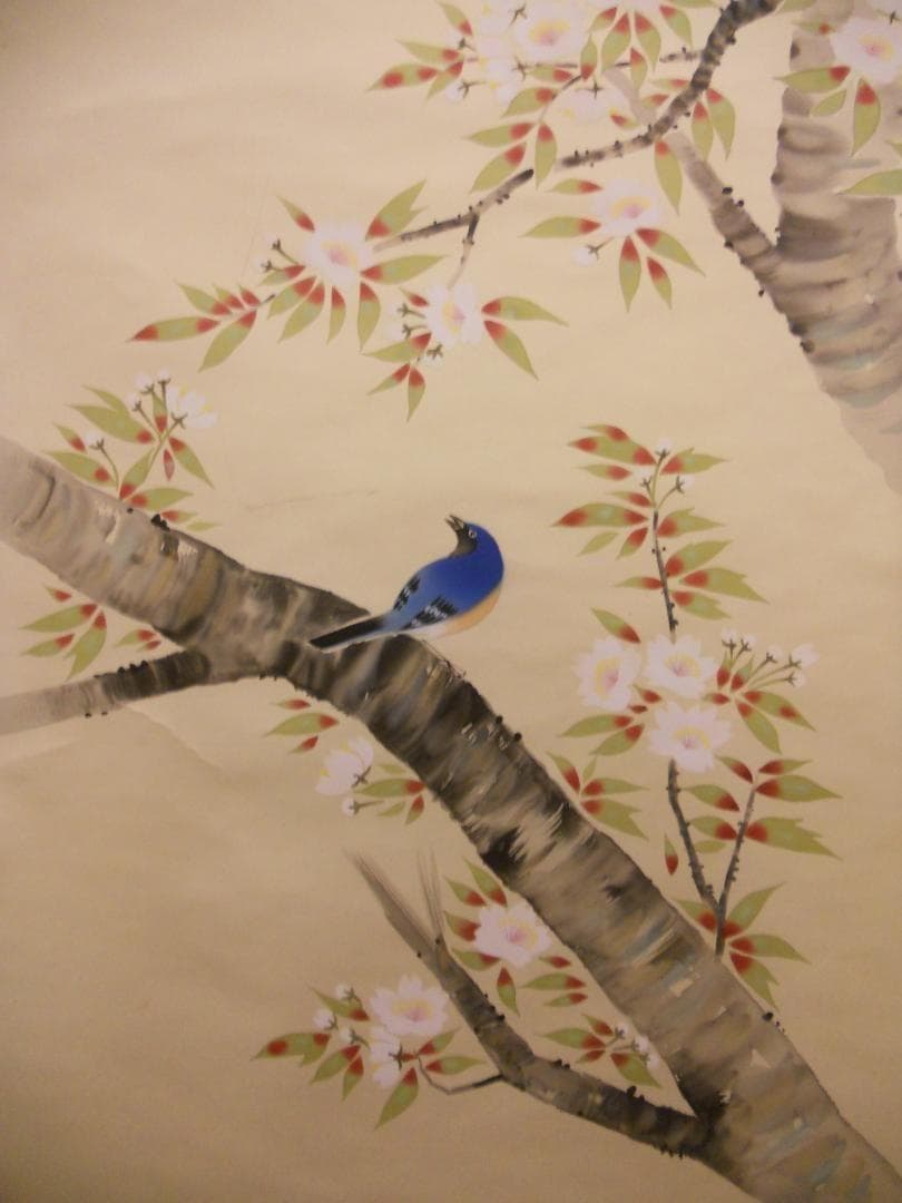 掛け軸 岡野山雪 『 桜花遊鳥 』 絹本 希少 軸装 茶道具 掛軸 です。