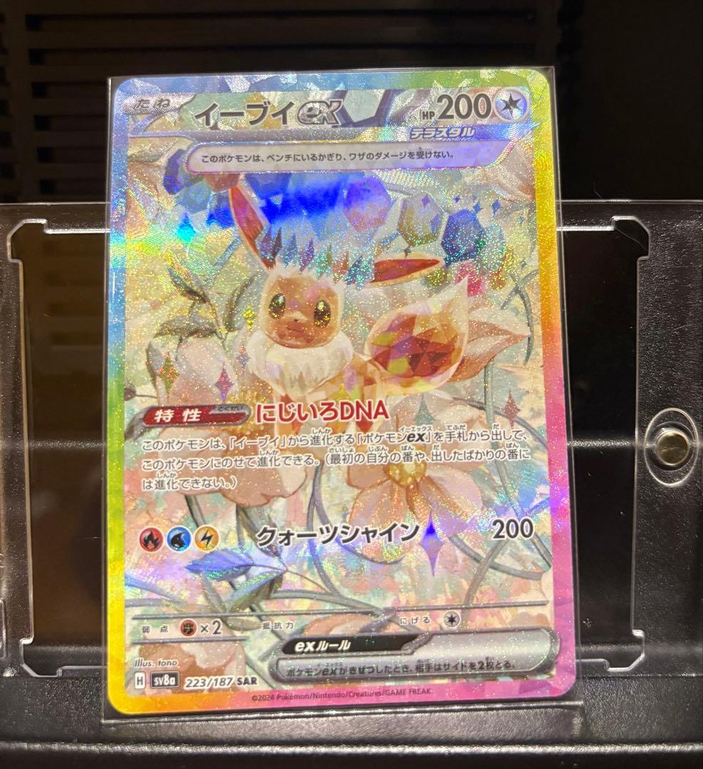 テラスタルフェス　ブイズ　SAR 10枚セット