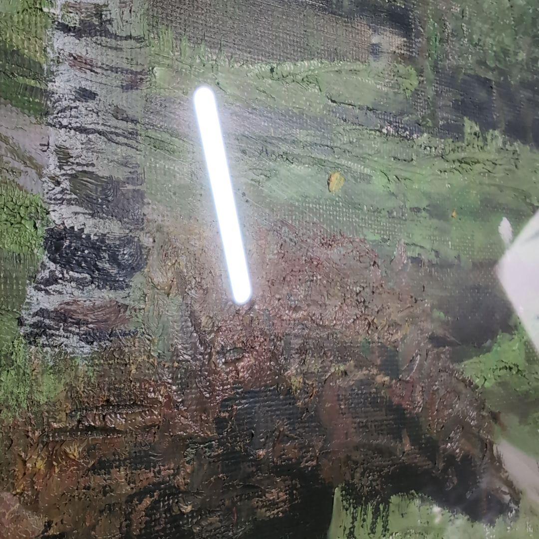 【油彩画】早瀬遼　作　白樺林　肉筆画　F10 新緑美しく春〜夏に運気向上する作