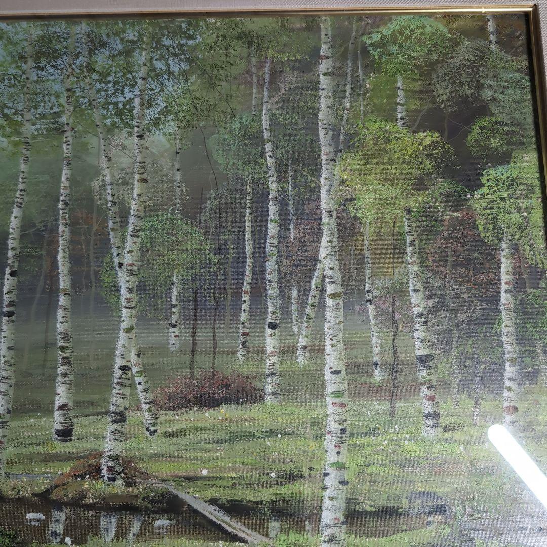 【油彩画】早瀬遼　作　白樺林　肉筆画　F10 新緑美しく春〜夏に運気向上する作