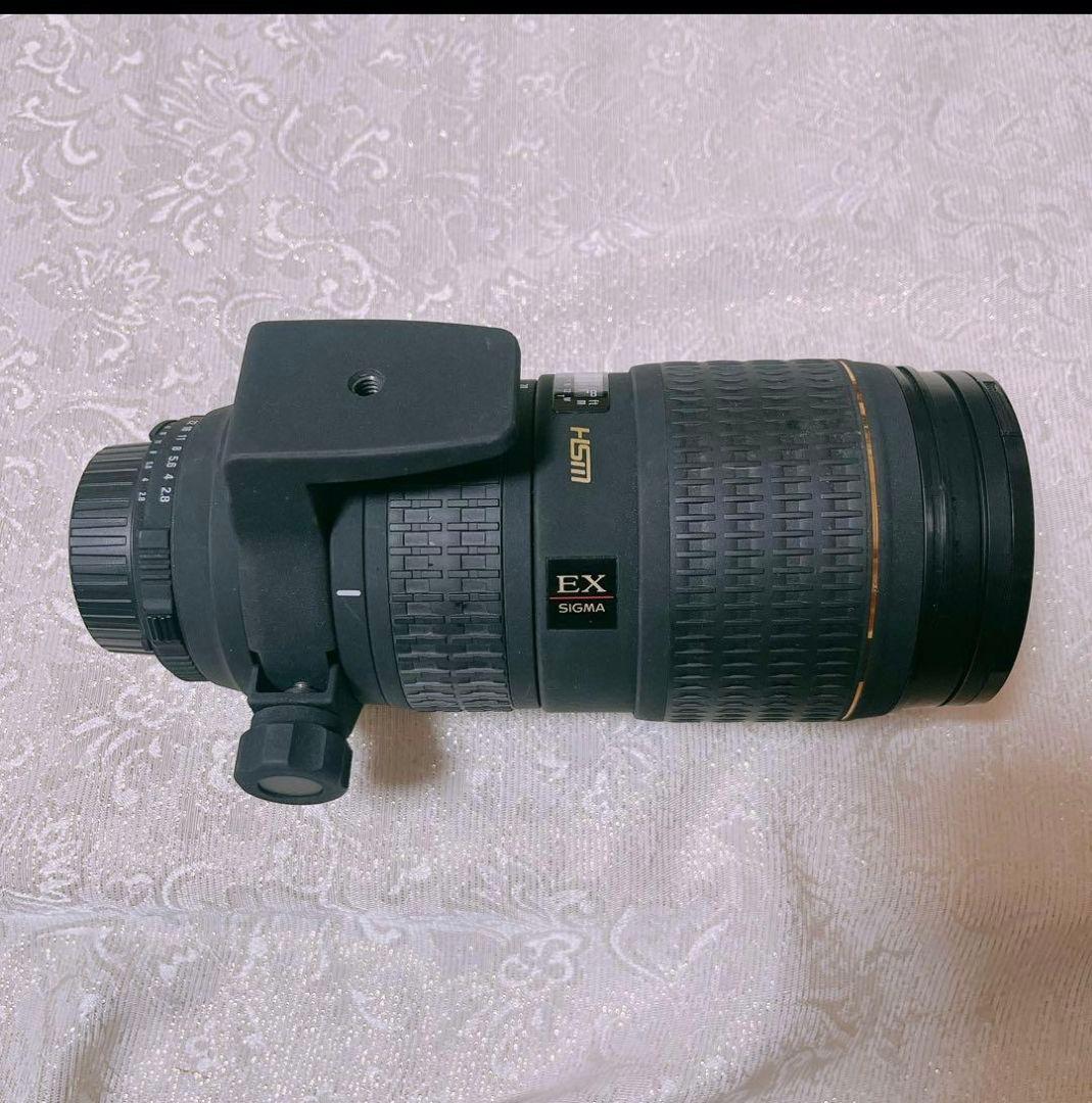 SIGMA EX 70-200mm F2.8 APO（ニコンFマウント用）