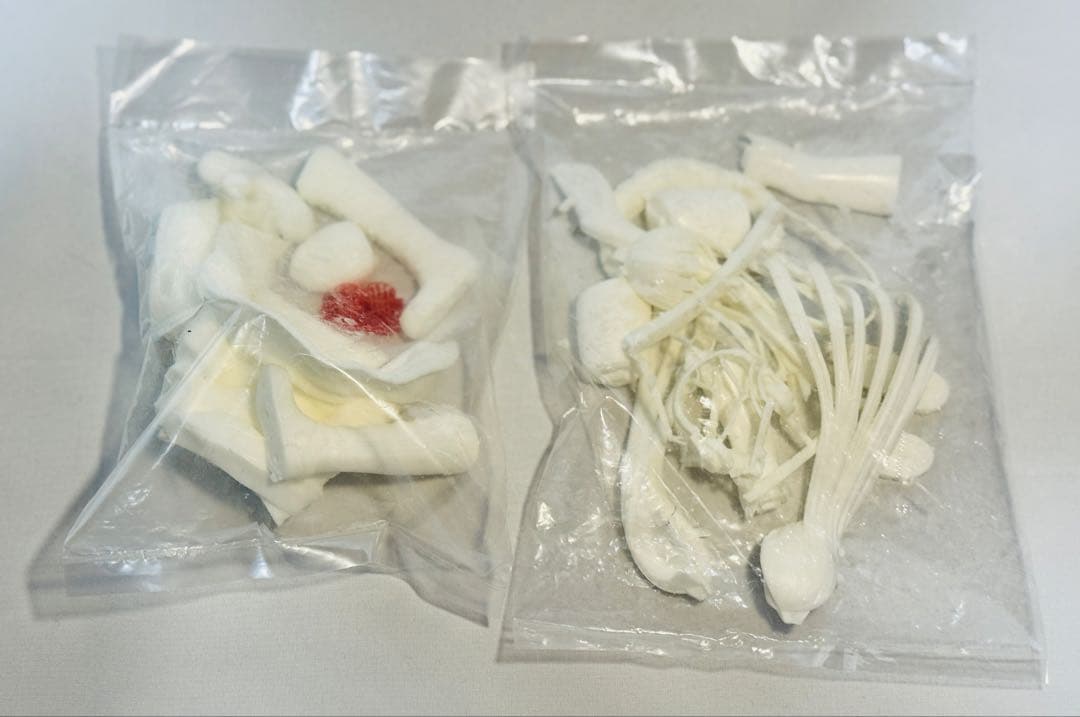 will ペルソナ5 佐倉双葉 ガレージキット