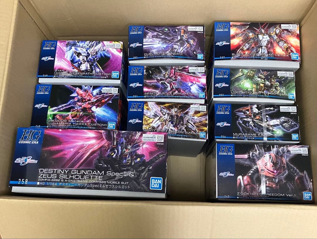 未組立 HG デスティニーガンダムSpecII＆ゼウスシルエット 含む計12点