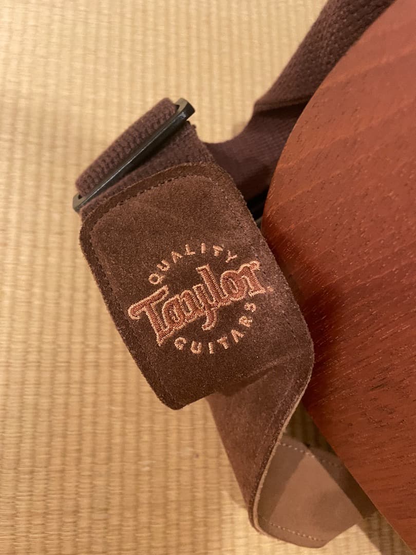 Taylor BT2 アコースティックギター