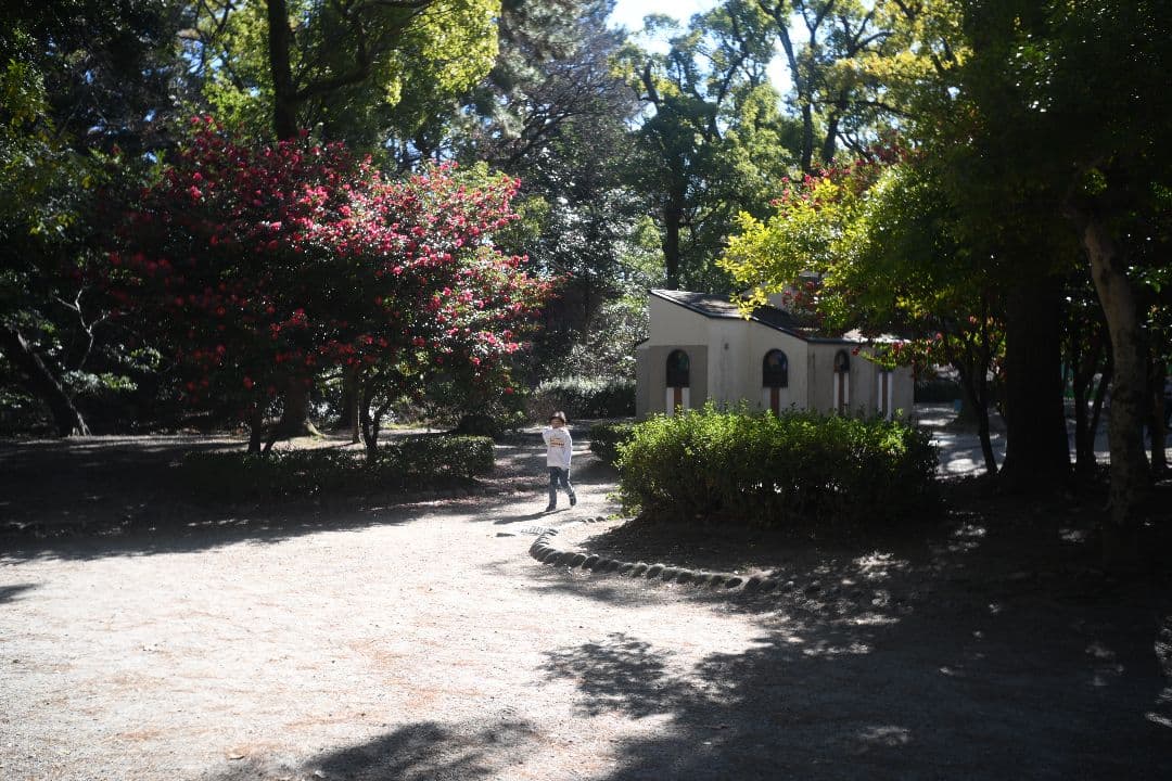 【整備済】Leitz Elmar 3.5cm f3.5 ライカ エルマー