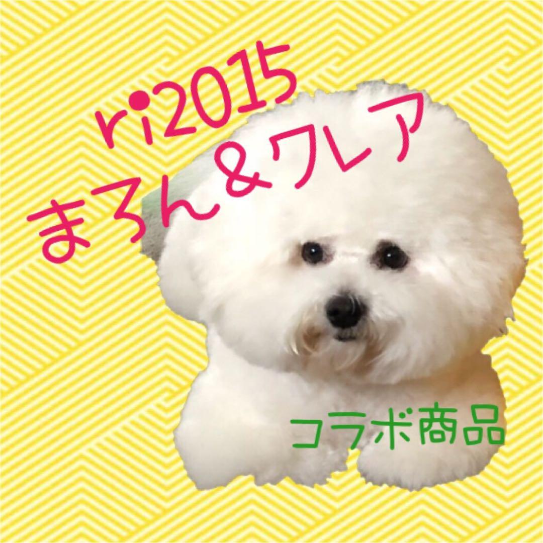 ビションフリーゼ「ri2015」「まろん&クレア」コラボ商品