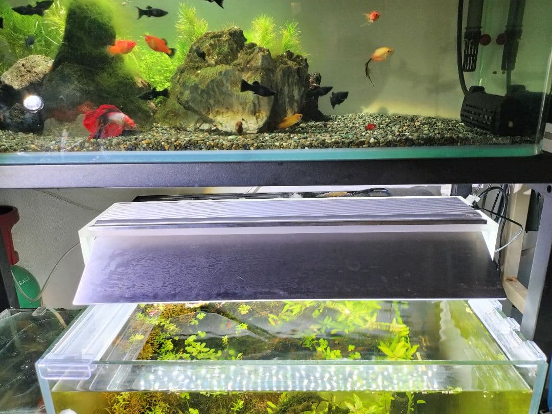 【ADA アクアスカイムーン 60cm LEDライト】反射板付き・動作良好