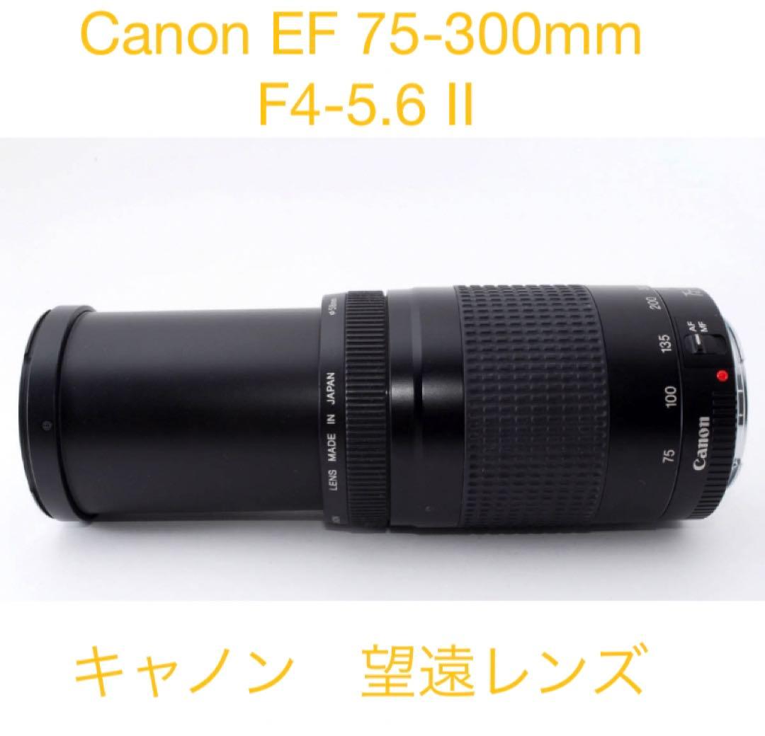 キヤノン☆迫力300㎜☆Canon EF 75-300㎜ F4-5.6 Ⅱ☆