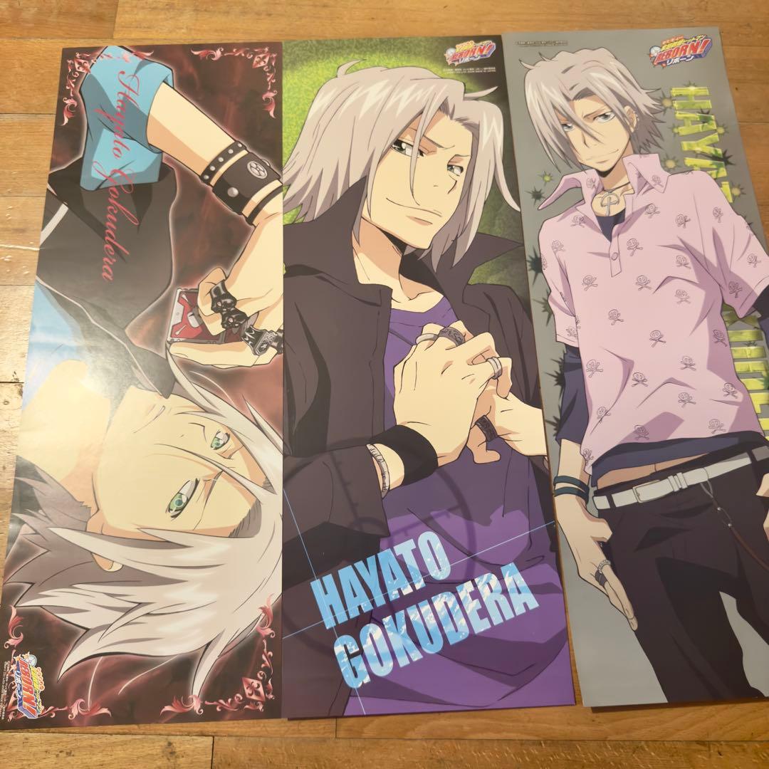 リボーン キャラポス 収納ファイル ポスター 32枚 美品