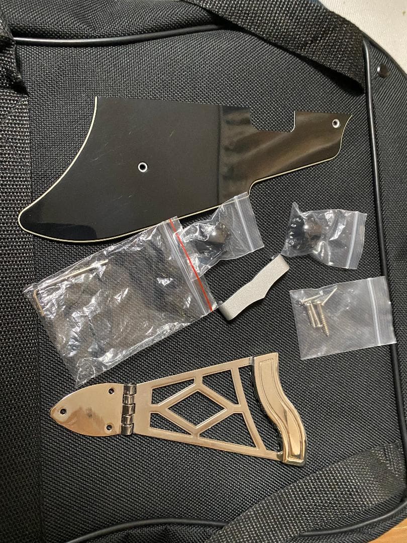 VOX GIULIETTA VGA-3D（アーム付）ソフトケースマニュアル 付属