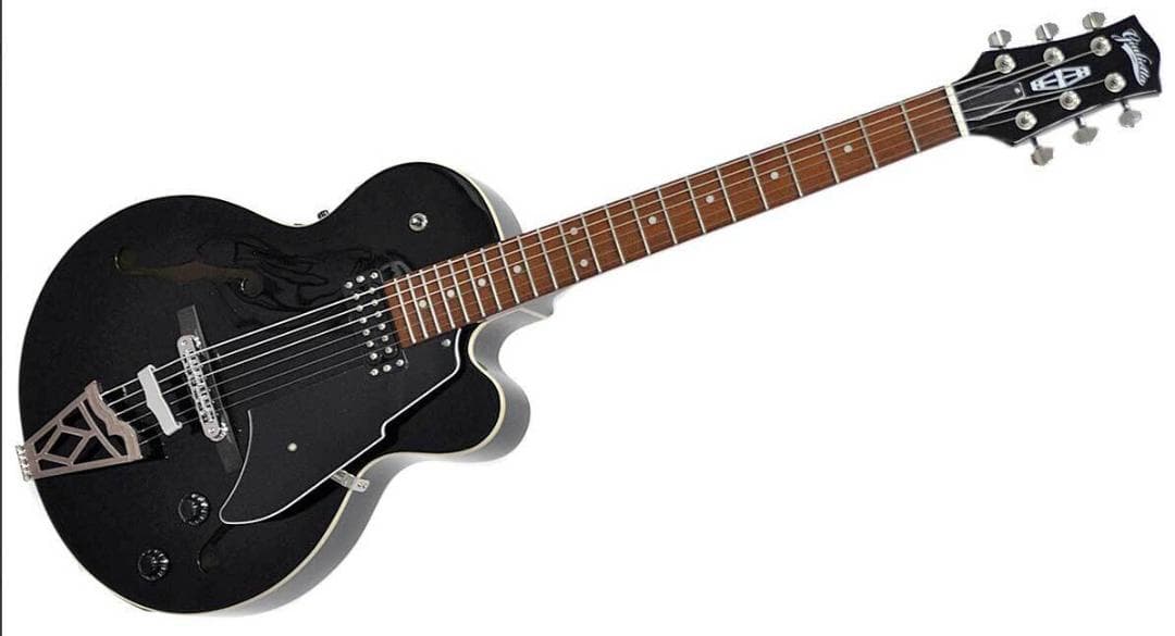 VOX GIULIETTA VGA-3D（アーム付）ソフトケースマニュアル 付属