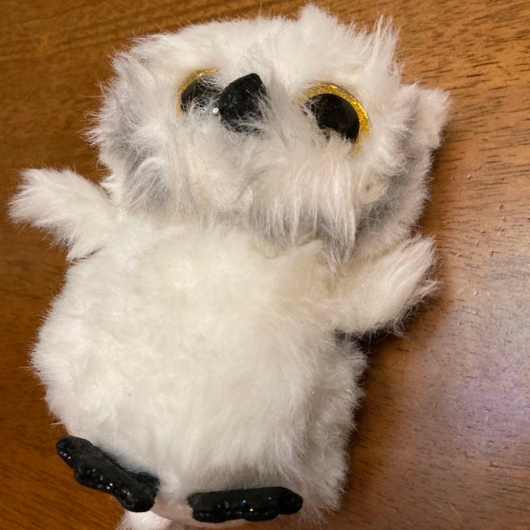 TY タイ　ぬいぐるみ　フクロウ　白　owl