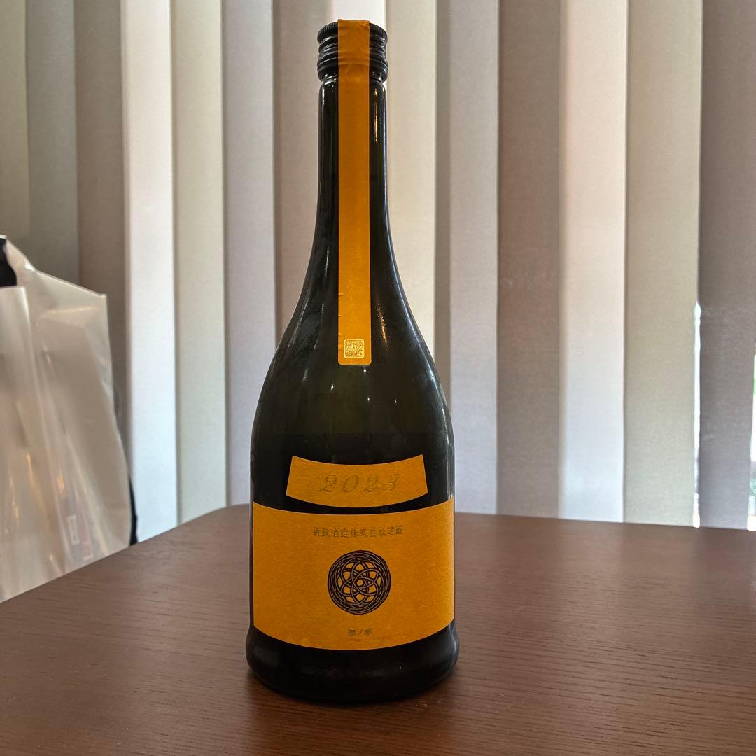 新政　タンジェリン　2023