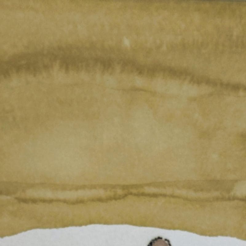 ☆坂本直行☆「木の実」水彩画　八ツサイズ　新品額！