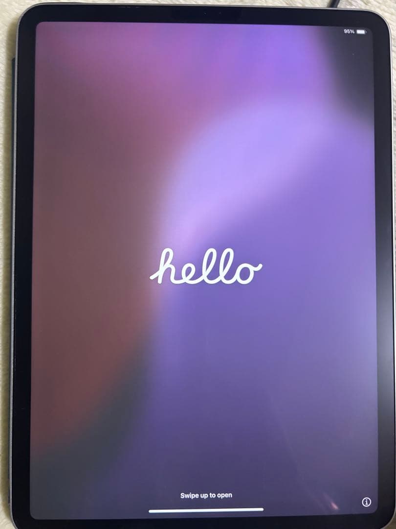 iPad Pro 第2世代 11インチ WiFiモデル 256GB(おまけ付き)