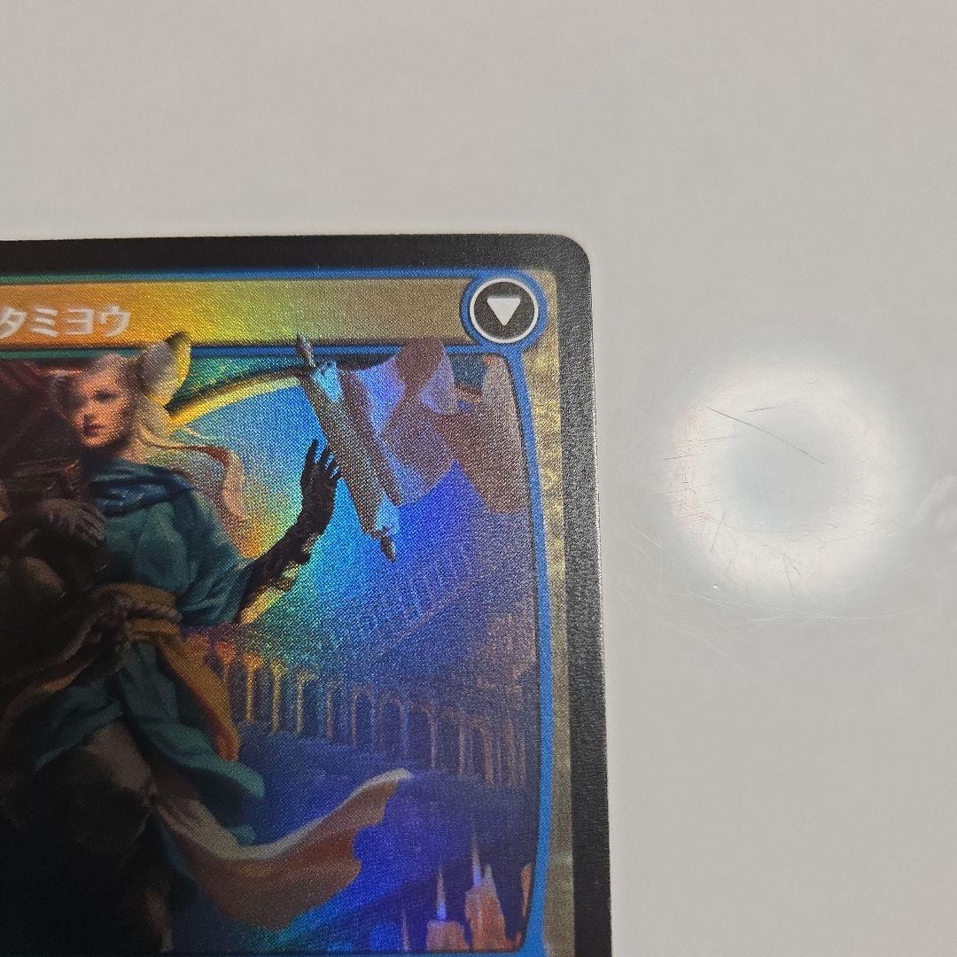 MTG　知りたがりの学徒、タミヨウ　日語　foil